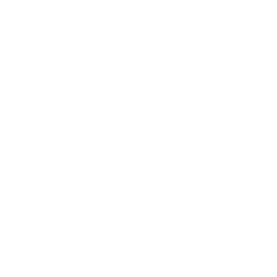 Connect Group